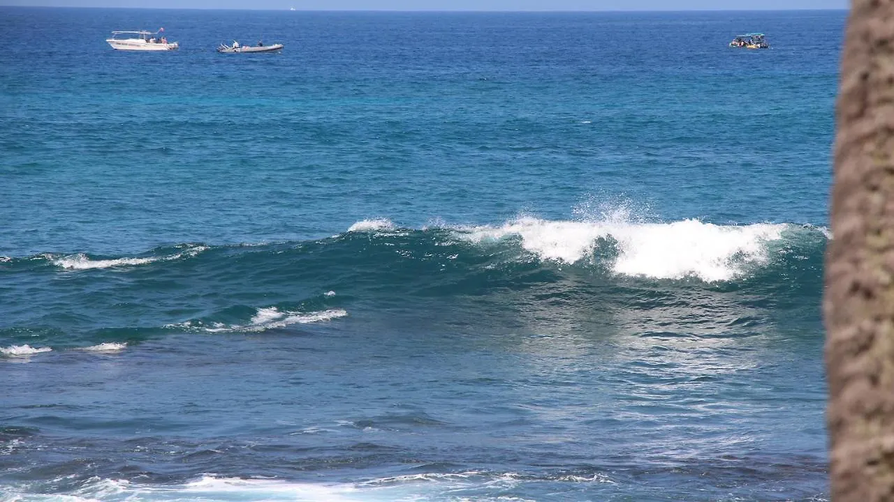 Oceanfront-Incredible Views, Surf Break & Romantic Sunsets At Bali Kai 223 Kailua-Kona Holiday home